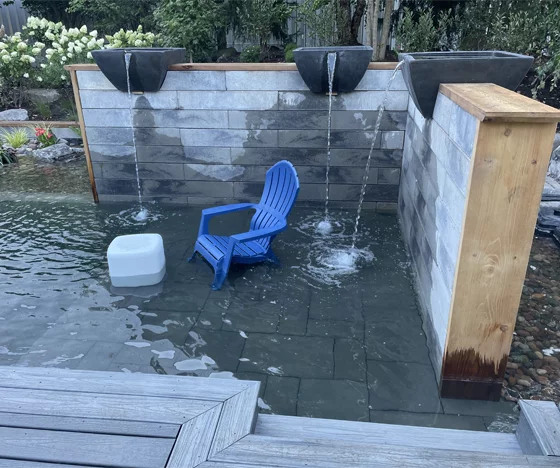 Recreational Swim Pond - Black Koi Water Features - Black Koi Water Features Recreational Swim Pond