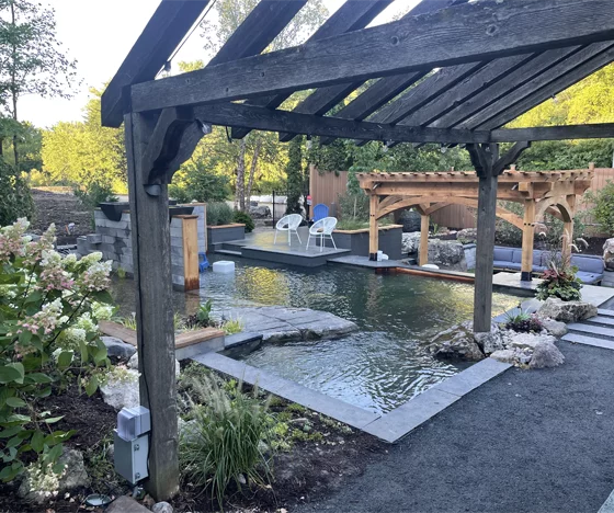 Recreational Swim Pond - Black Koi Water Features - Black Koi Water Features Recreational Swim Pond